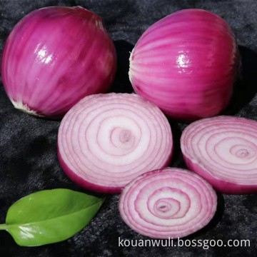 Export Quality 5/7cm and 8/9cm White Onion